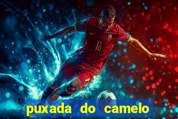 puxada do camelo jogo do bicho